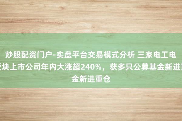 炒股配资门户-实盘平台交易模式分析 三家电工电网板块上市公司年内大涨超240%，获多只公募基金新进重仓